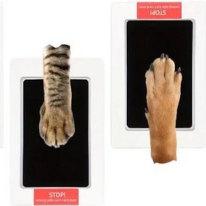 Inktloze poot- of neusafdruk printkit - Goud