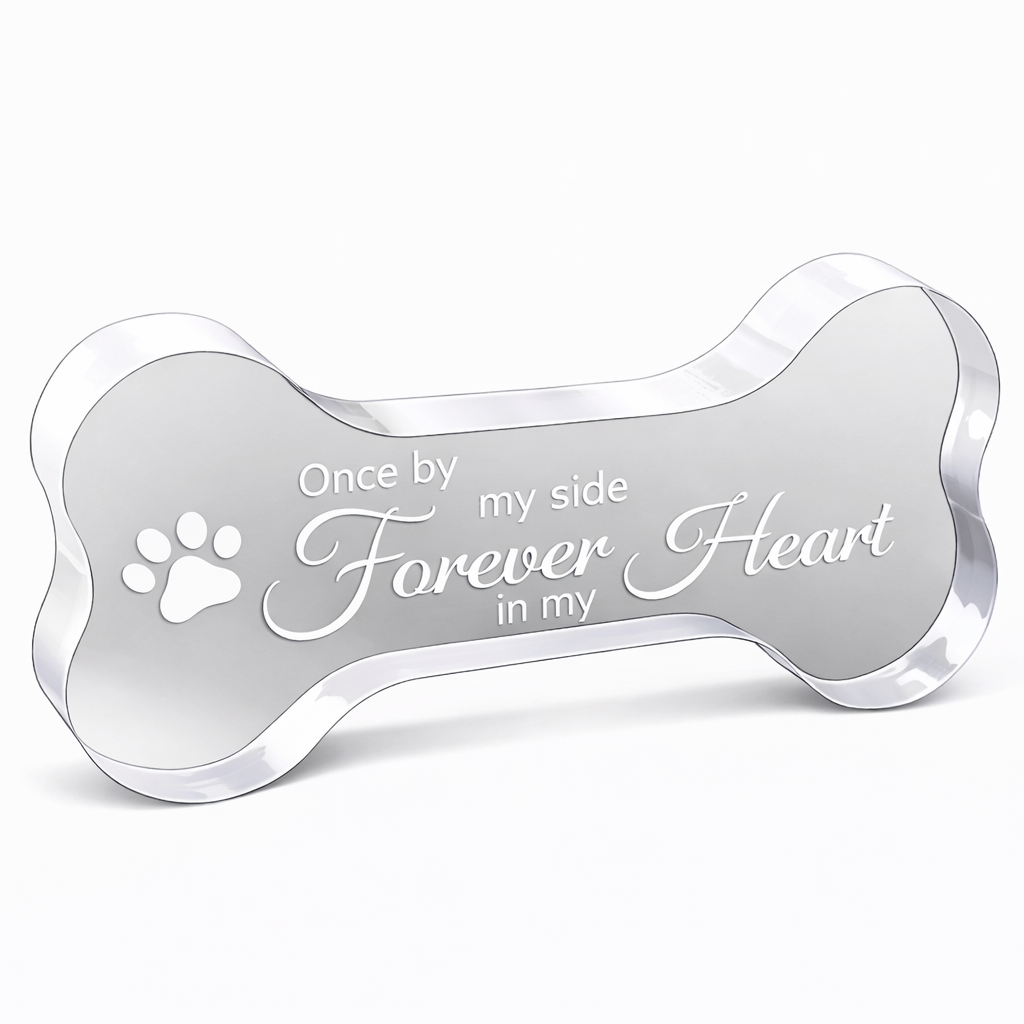 Gedenkstatue – Hund – Knochen