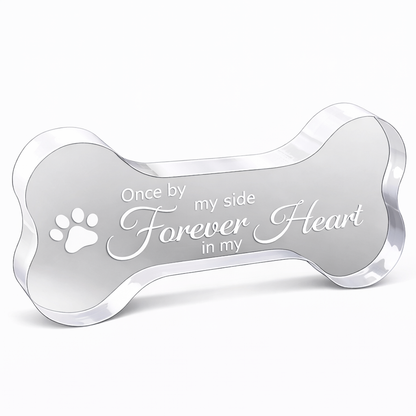 Gedenkstatue – Hund – Knochen