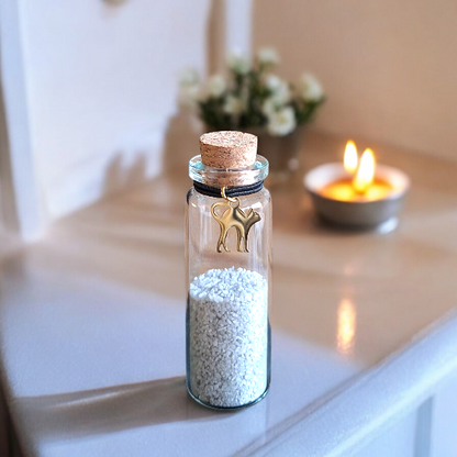 memorial fles voor kat, gedenkflacon, herinnering kat, aandenken voor kat, bewaren plukjes vacht, gedenkflesje voor kat