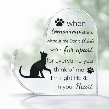 Gedenkstatue – Katze – Wenn der morgige Tag beginnt